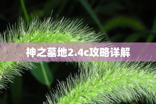 4c攻略详解图片