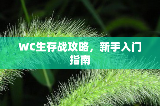 WC生存战攻略图片