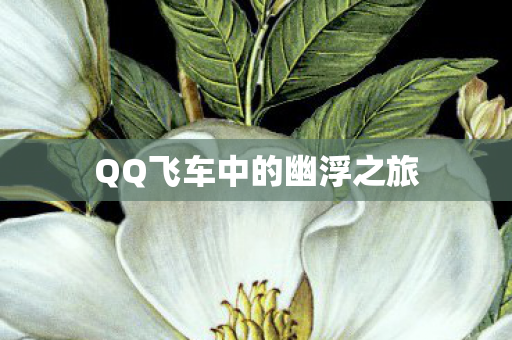 QQ飞车中的幽浮之旅图片
