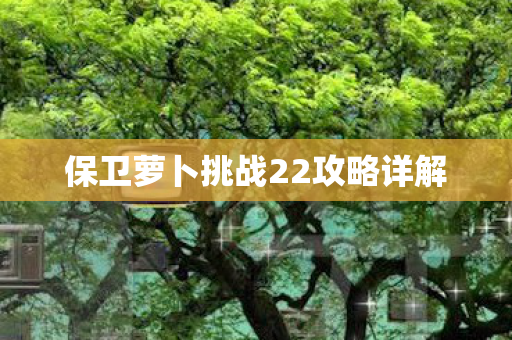保卫萝卜挑战22攻略详解图片