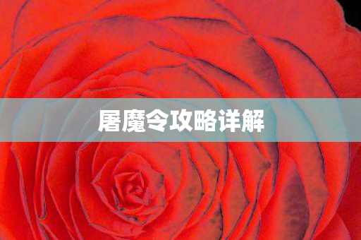 屠魔令攻略详解图片