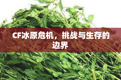 挑战与生存的边界图片