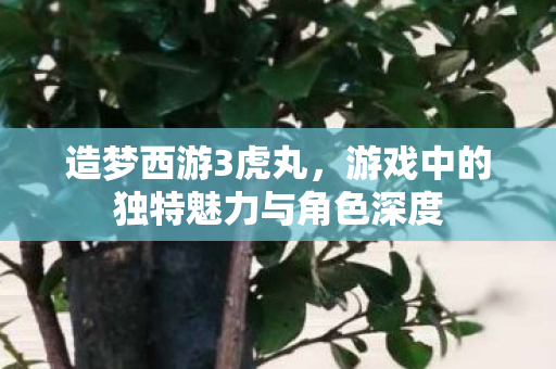 游戏中的独特魅力与角色深度图片