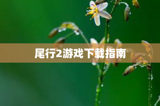 尾行2游戏下载指南图片