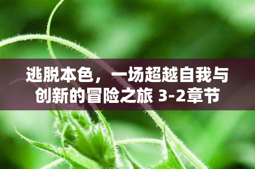 一场超越自我与创新的冒险之旅 3图片