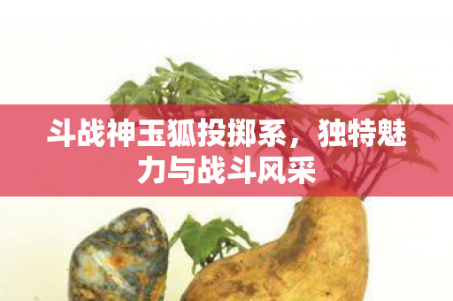独特魅力与战斗风采图片