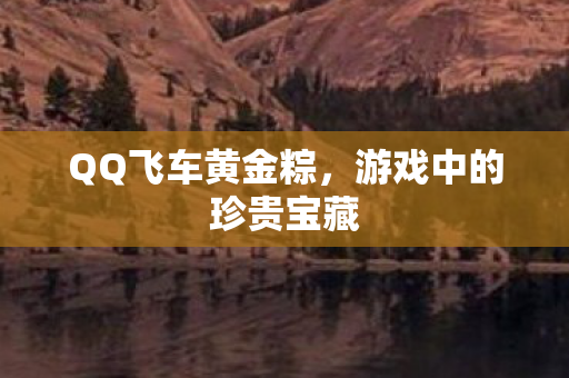 游戏中的珍贵宝藏图片