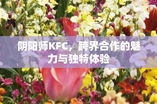 跨界合作的魅力与独特体验图片