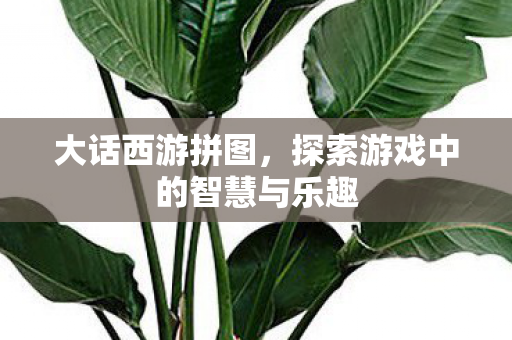 探索游戏中的智慧与乐趣图片