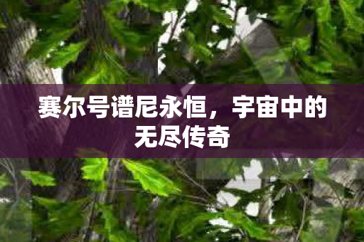 宇宙中的无尽传奇图片