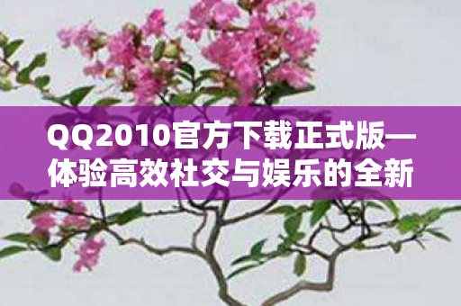 体验高效社交与娱乐的全新版本图片
