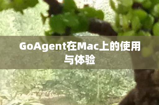 GoAgent在Mac上的使用与体验图片