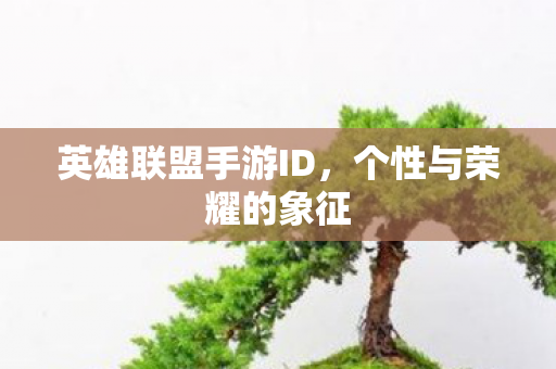 英雄联盟手游ID图片