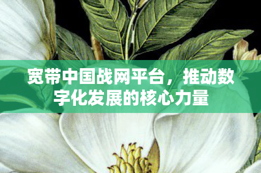 推动数字化发展的核心力量图片