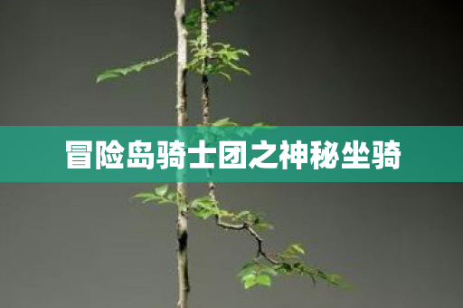 冒险岛骑士团之神秘坐骑图片