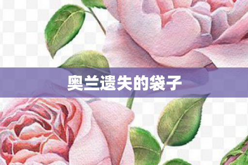 奥兰遗失的袋子图片