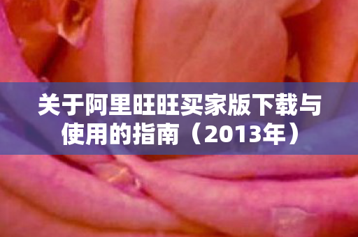 关于阿里旺旺买家版下载与使用的指南图片