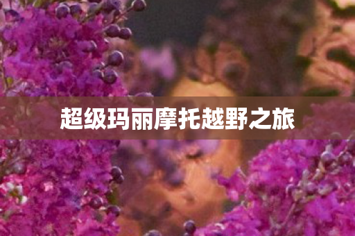 超级玛丽摩托越野之旅图片