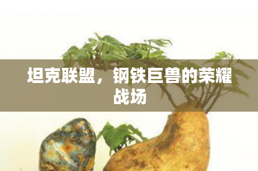 钢铁巨兽的荣耀战场图片