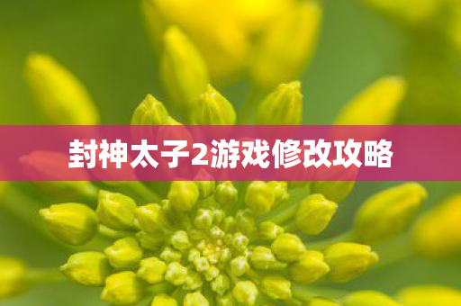 封神太子2游戏修改攻略图片