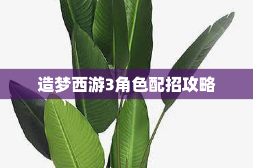 造梦西游3角色配招攻略图片