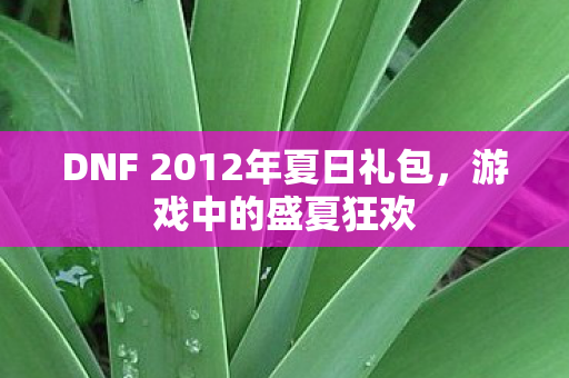 DNF 2012年夏日礼包图片