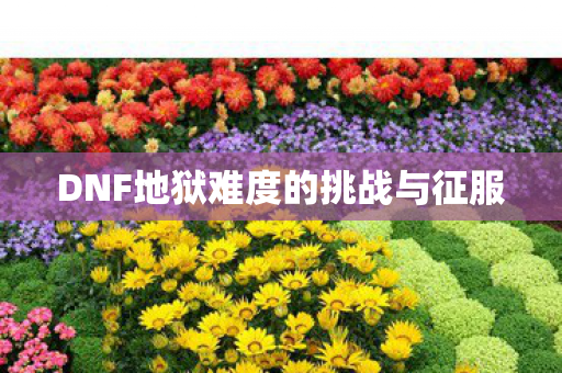 DNF地狱难度的挑战与征服图片
