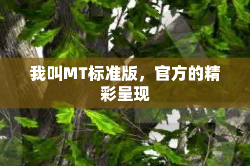 我叫MT标准版图片