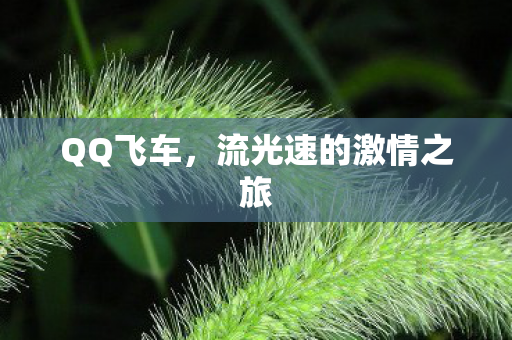 流光速的激情之旅图片