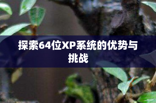 探索64位XP系统的优势与挑战图片