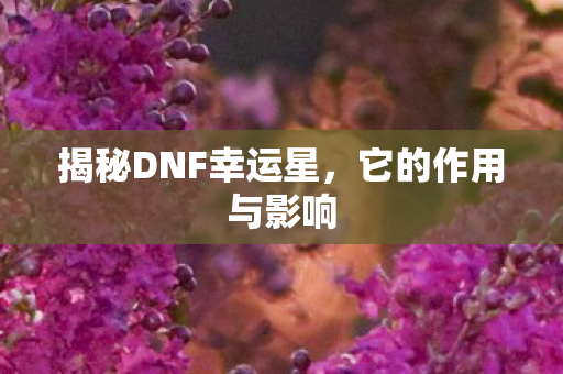揭秘DNF幸运星图片