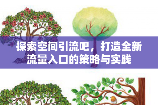 打造全新流量入口的策略与实践图片