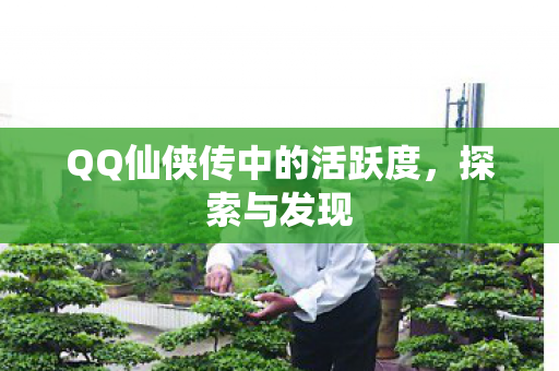 QQ仙侠传中的活跃度图片