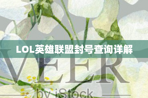 LOL英雄联盟封号查询详解图片