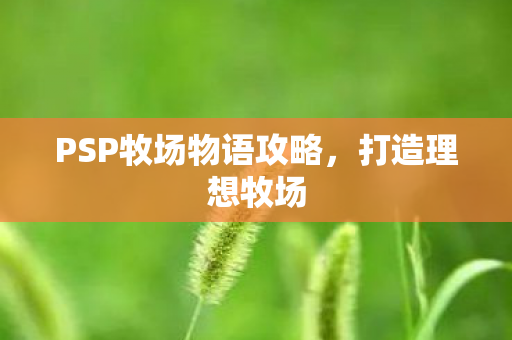 PSP牧场物语攻略图片