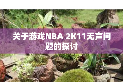 关于游戏NBA 2K11无声问题的探讨图片