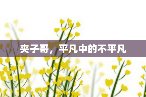 平凡中的不平凡图片
