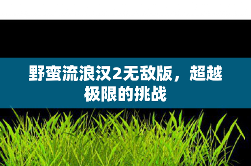 野蛮流浪汉2无敌版图片