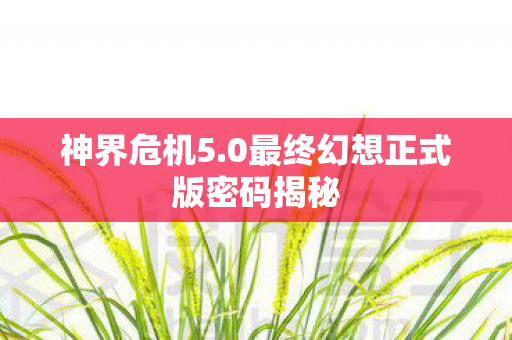 0最终幻想正式版密码揭秘图片