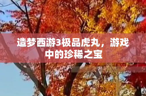 造梦西游3极品虎丸图片