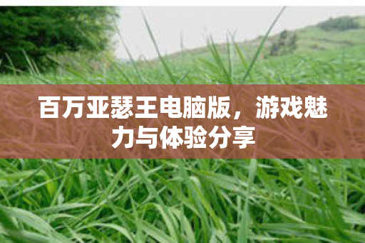 游戏魅力与体验分享图片