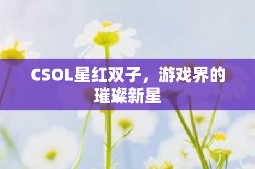 CSOL星红双子图片
