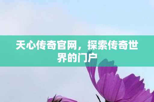 探索传奇世界的门户图片