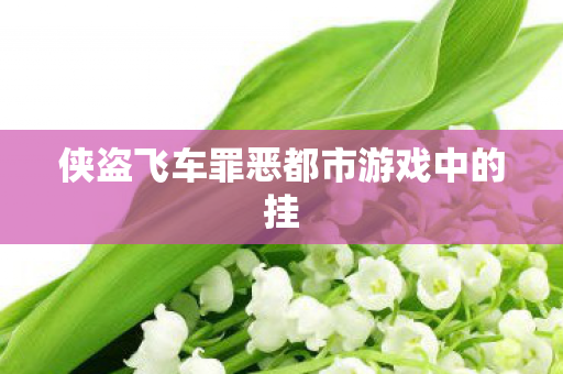 侠盗飞车罪恶都市游戏中的挂图片