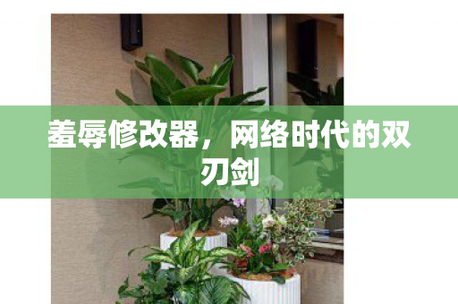 网络时代的双刃剑图片