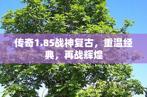 85战神复古图片