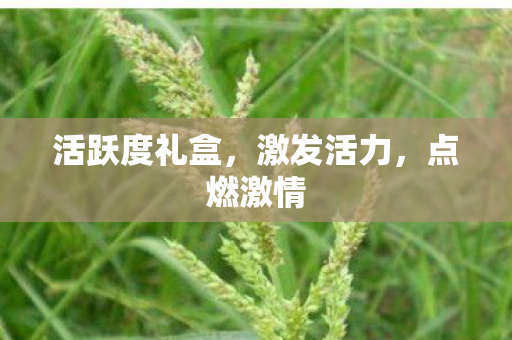 活跃度礼盒图片