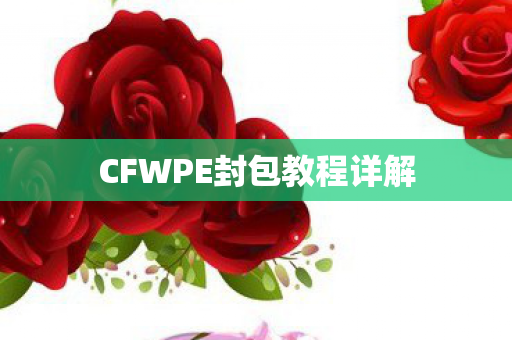 CFWPE封包教程详解图片