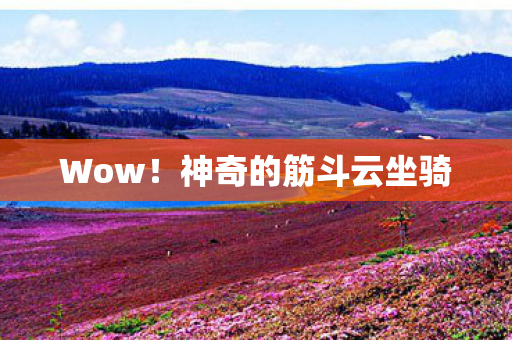 神奇的筋斗云坐骑图片