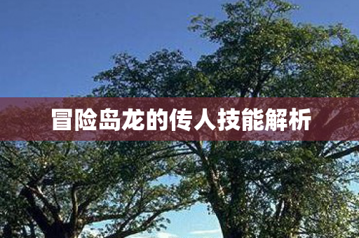 冒险岛龙的传人技能解析图片